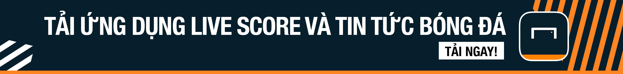 在本届世界 在本届世界