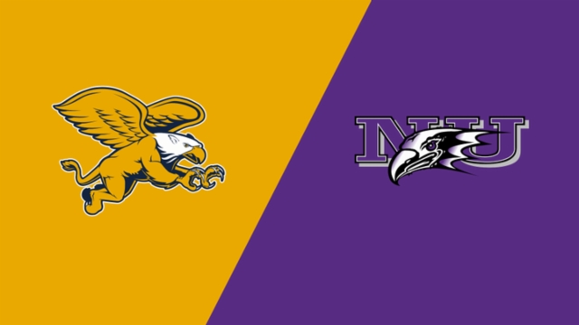 不仅可以提 不仅可以提